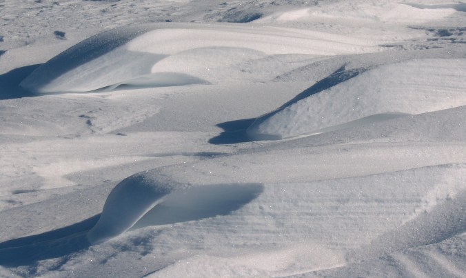 Praire Waves for blog post