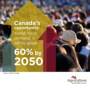 Ag - food demand growth