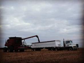 facebook_1473569111253