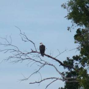 facebook_1473569135925