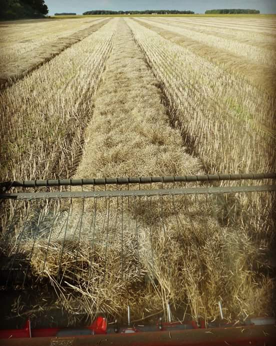 facebook_1473569151427