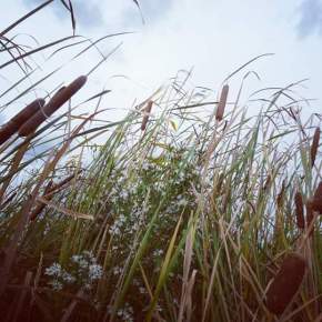 facebook_1473569165592