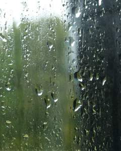 facebook_1474855006708