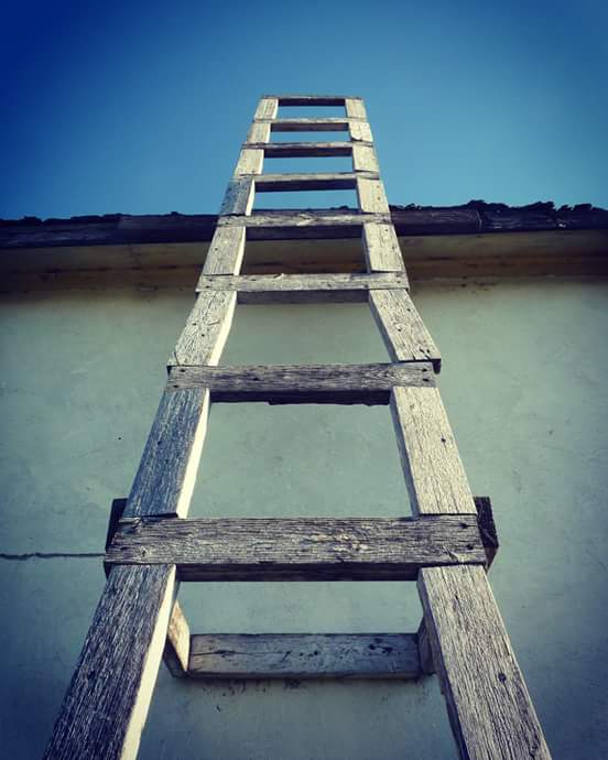 facebook_1483472934024