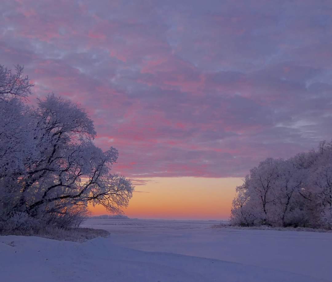 facebook_1673800031875_7020426168893660166