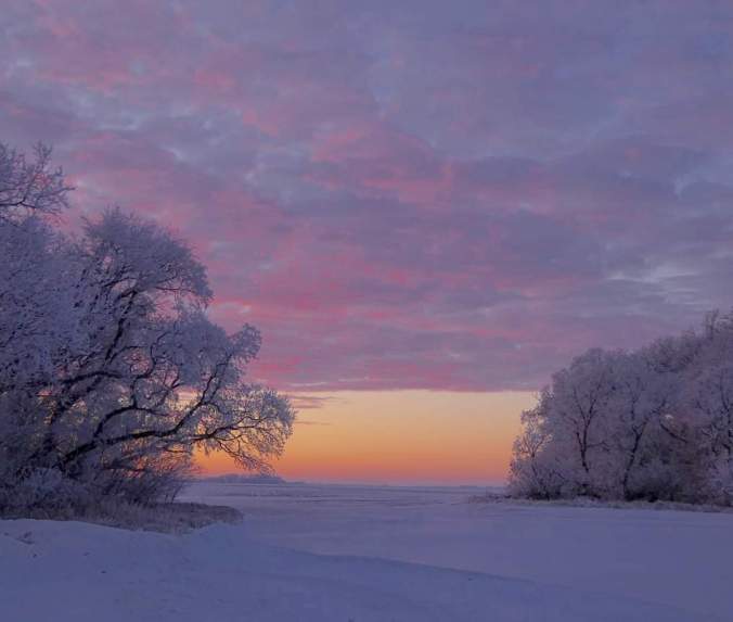 facebook_1673800031875_7020426168893660166