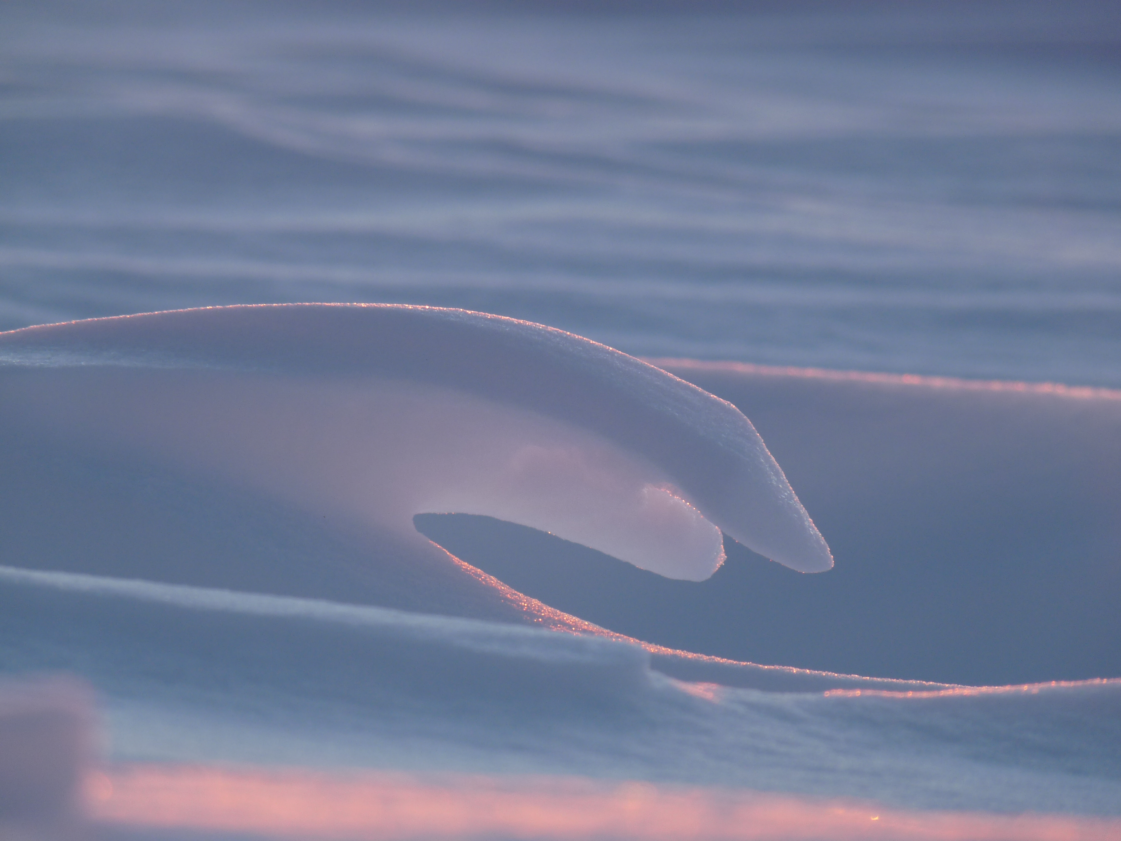 Drift Away | Sandi Knight